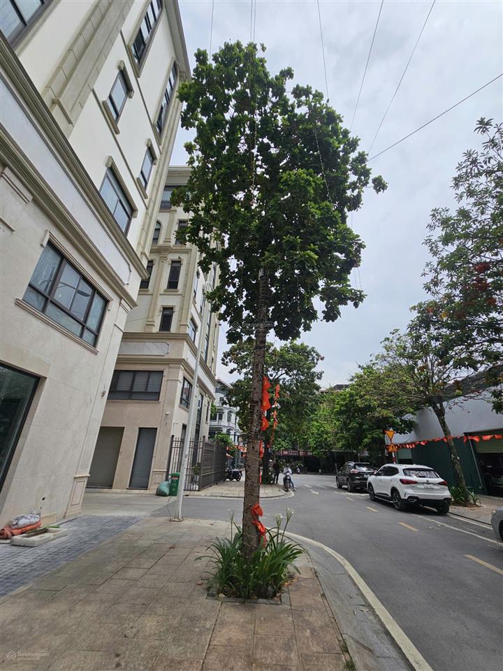 Cho thuê căn góc rẻ nhất liền kề him lam hoàn thiện đẹp, phù hợp văn phòng,showroom giá 5x triệu/th