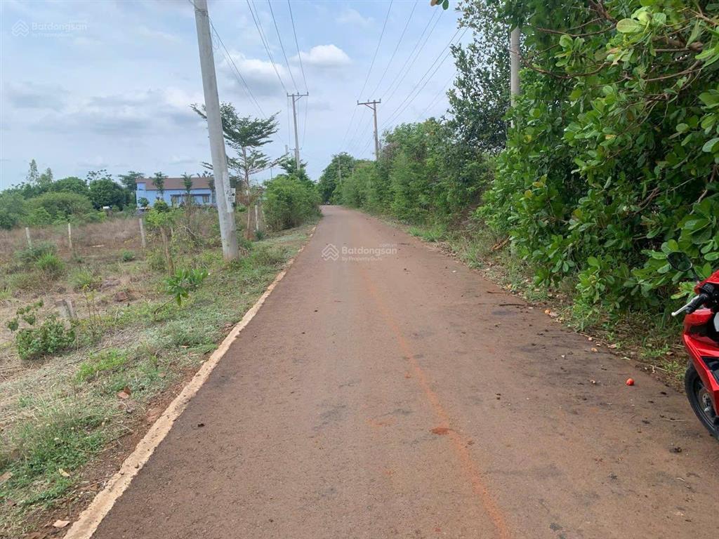Đất thổ cư mặt tiền đường nhựa 8m