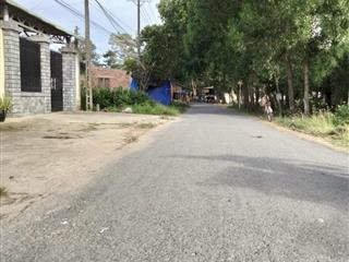 Bán đất mặt tiền nhựa kp hoà hưng, an hòa, trảng bàng, tây ninh, giá 1,65 tỷ