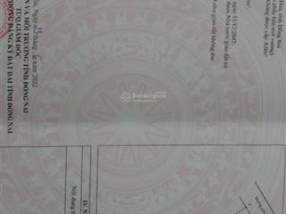 Chính chủ bán gấp đất khu phố long đức, tam phước, đồng nai 106m2 shr chỉ 990tr