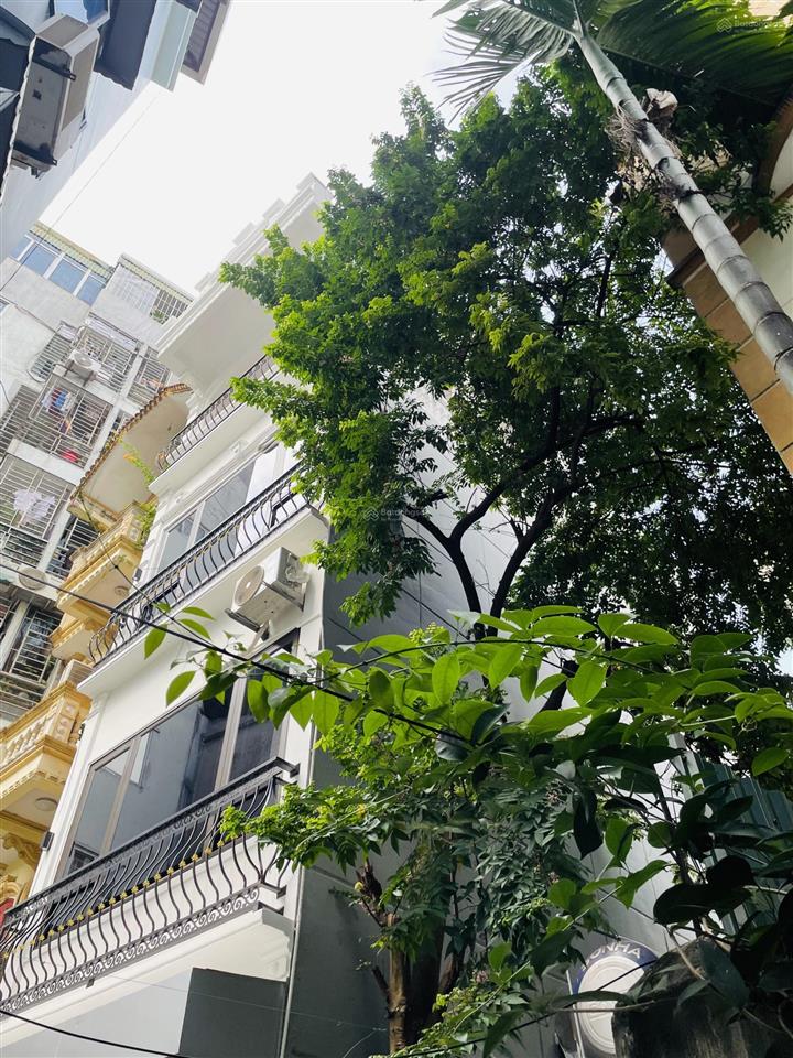 Nhà đẹp mới cầu giấygiao ba đình