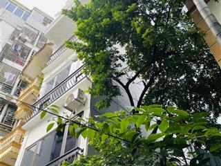 Nhà đẹp mới cầu giấygiao ba đình