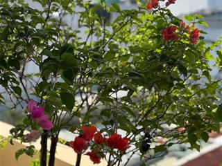 Chào bán toà căn hộ mặt tiền hoà cường, đà nẵng