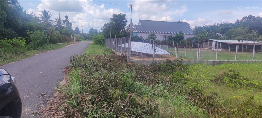 Bán 2140,4m2 đất bến cừ, ninh điền, châu thành, tây ninh