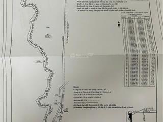 Cần bán 4 mẫu đất trồng cây xã hòa hiệp, tp. hcm