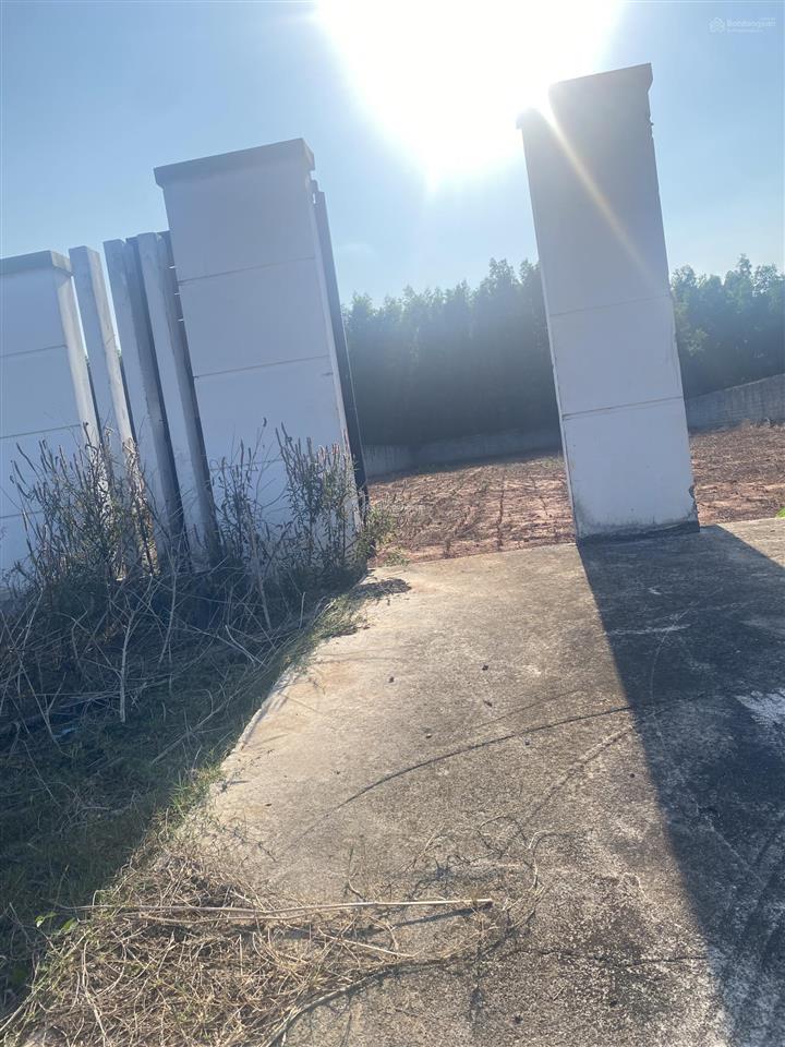 Đất đẹp rào sẵn  cách biển 8km  rừng đẹp  đường nhựa thổ cư