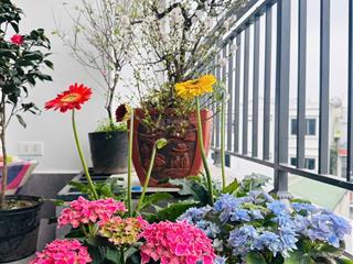 Cho thuê ccmn full đồ, tại ngọc hồi, hoàng liệt.hn 30m2 chỉ từ 4.000.000đ