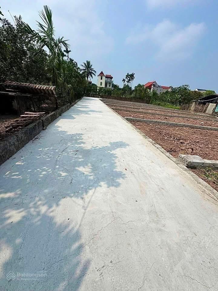 Giá sốc đất bạch hạ phú xuyên 80m vuông đẹp chỉ 1,85 tỷ