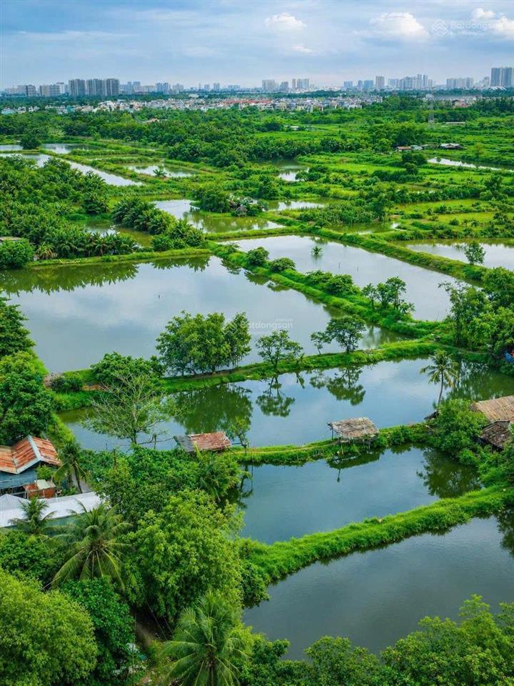 Bán căn hộ 2pn hưng phát 1,gần trung tâm thành phố,liền kề phú mỹ hưng,sổ hồng riêng,nhận nhà ngay