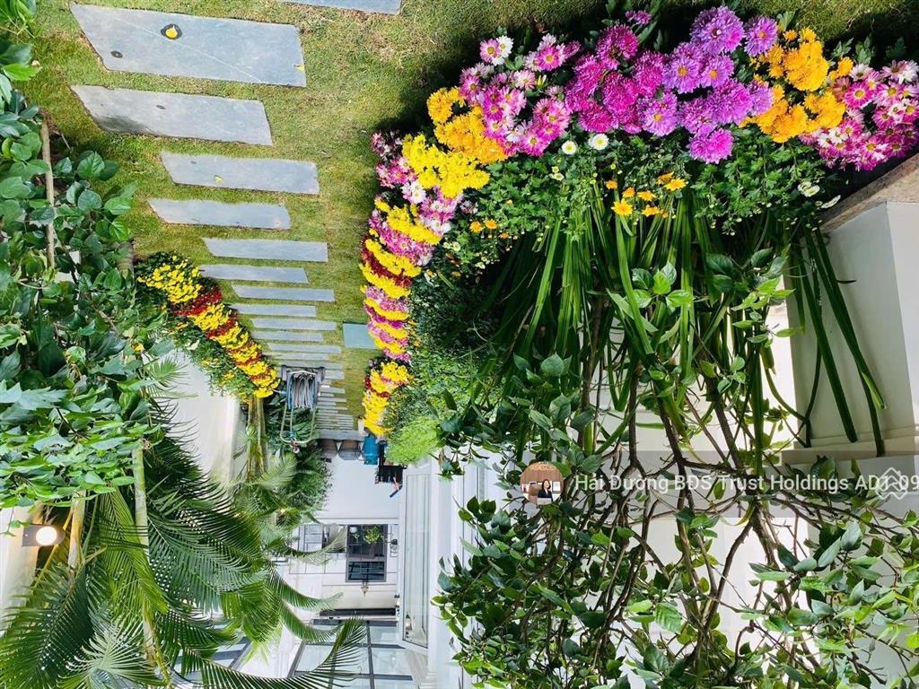 Đẹp rẻ hiếm có nhất anh đào 170m2 đông nam mặt tiền 10m, giá tốt vhr hiện tại chỉ hơn 360tr/m2
