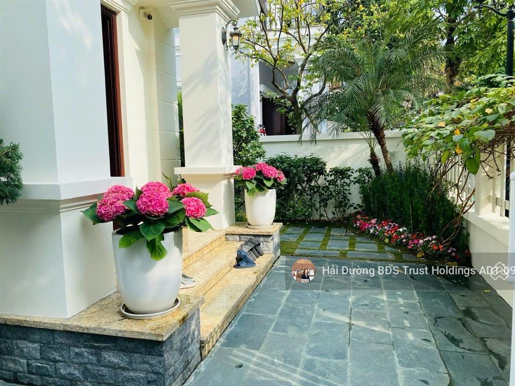 Đẹp rẻ hiếm có nhất anh đào 170m2 đông nam mặt tiền 10m, giá tốt vhr hiện tại chỉ hơn 360tr/m2