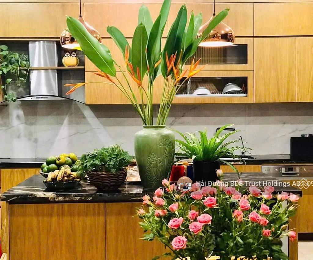 Đẹp rẻ hiếm có nhất anh đào 170m2 đông nam mặt tiền 10m, giá tốt vhr hiện tại chỉ hơn 360tr/m2