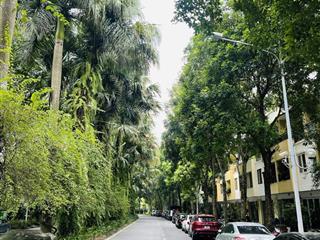 Bán nhanh căn góc phố cúc giá tốt, sát chung cư , đường lớn