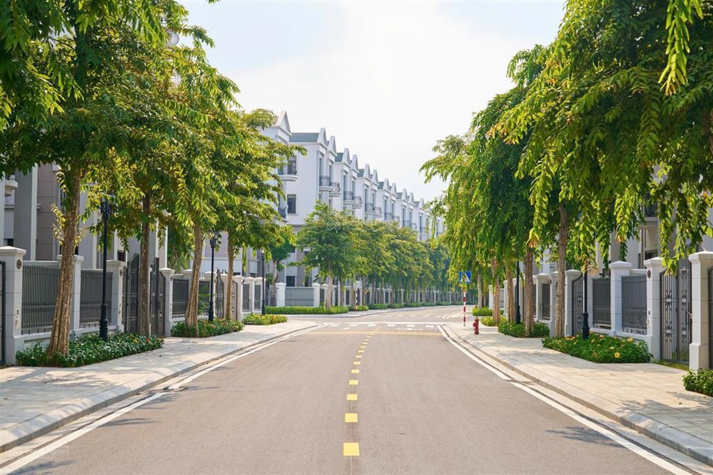 Hot bán bt 300m2 giá 39 tỷ tại đảo ngọc vinhomes ocean park 3, xã nghĩa trụ, huyện văn giang