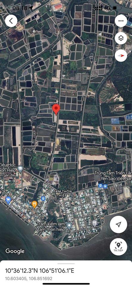 Bán đất bình khánh gần chợ tam thôn hiệp. diện tích 515m2 giá 2.6 tỷ