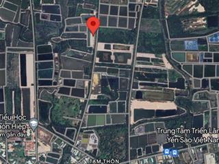 Bán đất bình khánh gần chợ tam thôn hiệp. diện tích 515m2 giá 2.6 tỷ