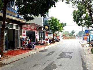 Nhà phân lô ôtô kinh doanh vỉa hè dt 50m2, mt 4,2m, 14 ty