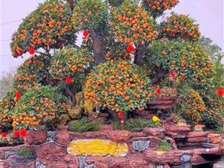 Chú em nhờ bán nhà ngay mỗ lao dt 50m2, 7 tầng thang máy giá 21ty