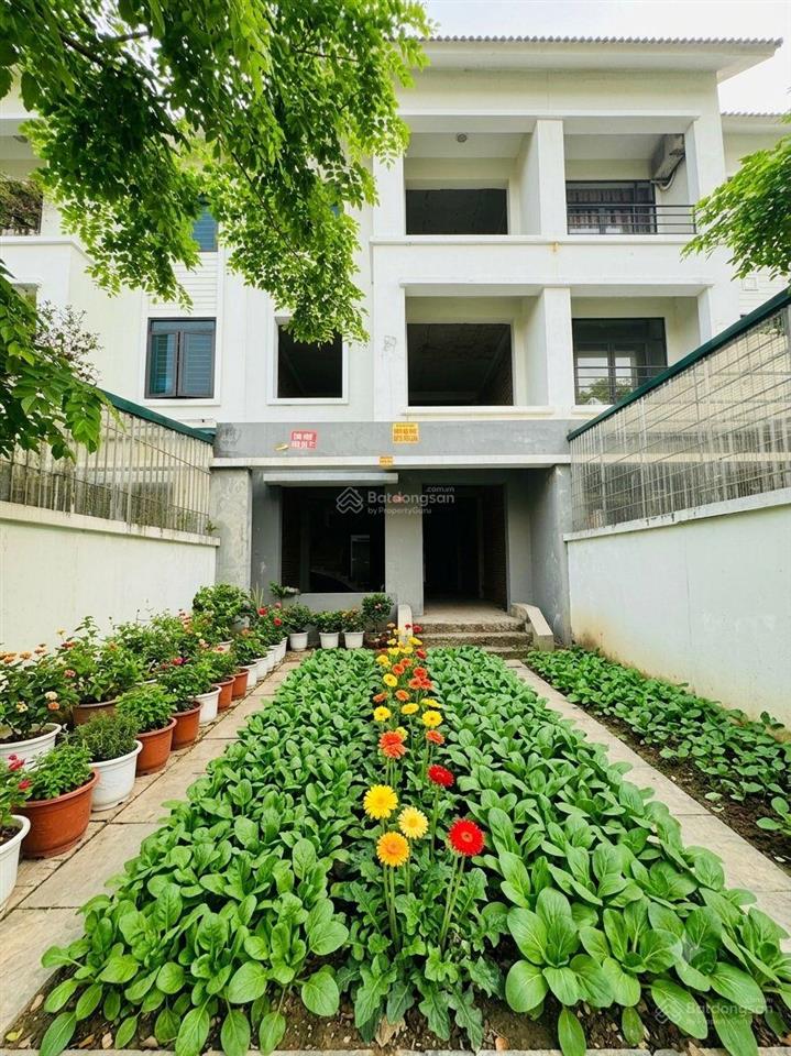 Lk geleximco dương nội dt 120m, mt 6m, 17,x tỷ