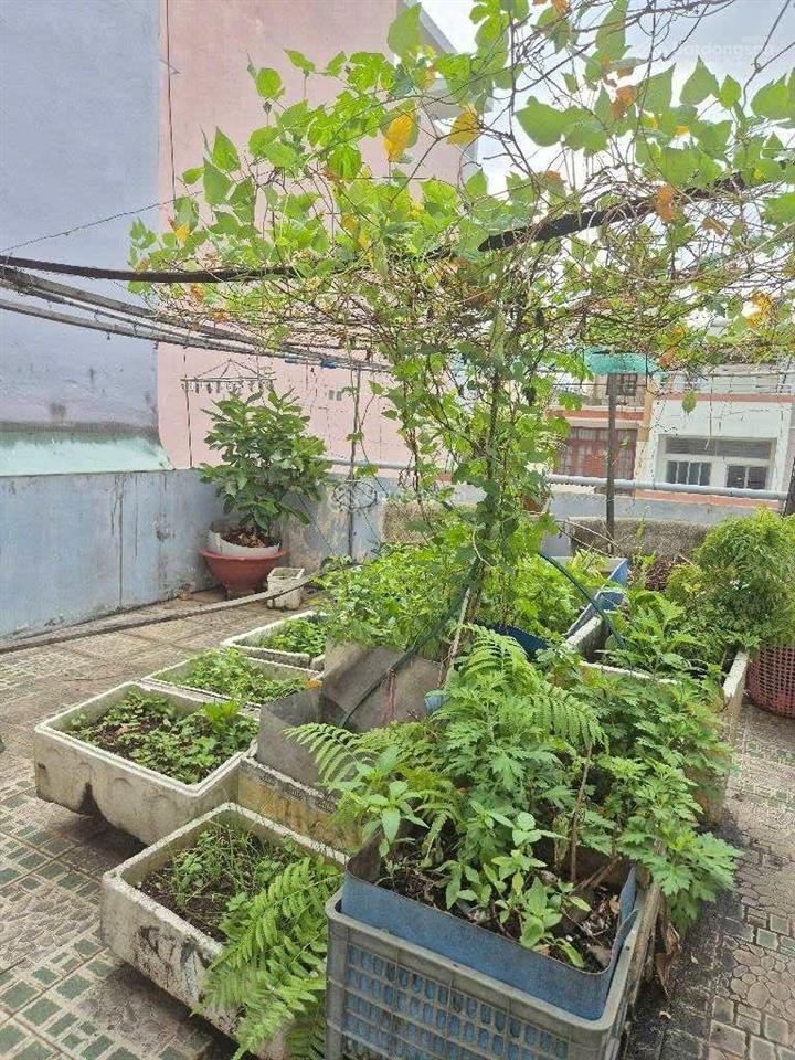 Bán nhà riêng, đường bình thới,phường 10, quận 11  sổ hồng riêng 70m2  hẻm 6m  giá 9,6 tỷ