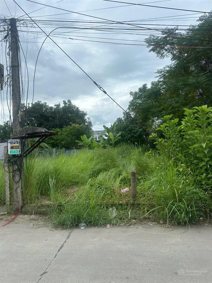 Bán đất đẹp, nhiều tiện ích tại hòa châu, 5,2 tỷ, 100m2