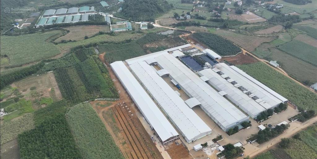 Chủ gửi bán hộ lô đất giữa trung tâm xã, 100m2 full thổ cư giá 200 triệu lo toàn bộ chi phí