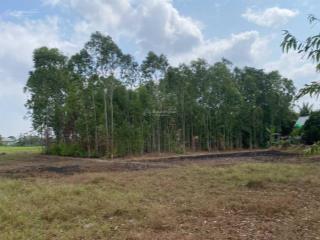 Cần tiền ra gấp lô đất ấp 1 mỹ quý tây, đức huệ  long an