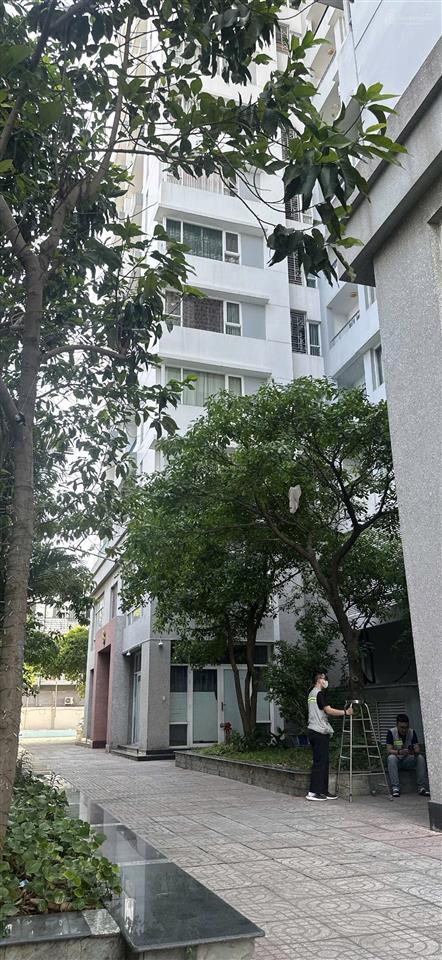 Chính chủ bán gấp căn hộ cc quang thái căn góc 60m2 sổ hồng riêng