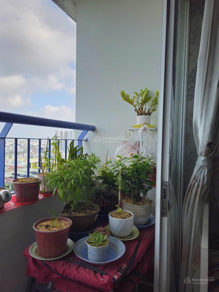 Chính chủ bán gấp căn hộ cc quang thái căn góc 60m2 sổ hồng riêng