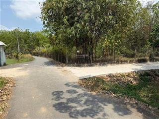 Chính chủ cần bán gấp lô đất sát kcn phước đông 5x17 full thổ  giá chỉ 299tr