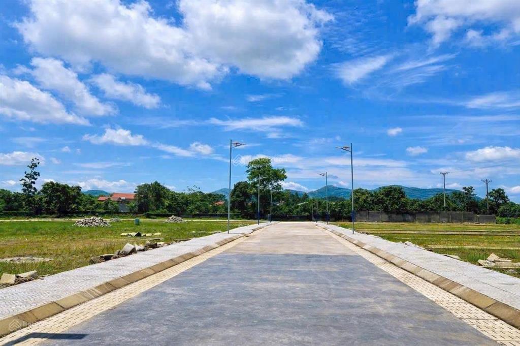 3** triệu/lô  đẹp như đất đấu giá 39 lô siêu phẩm