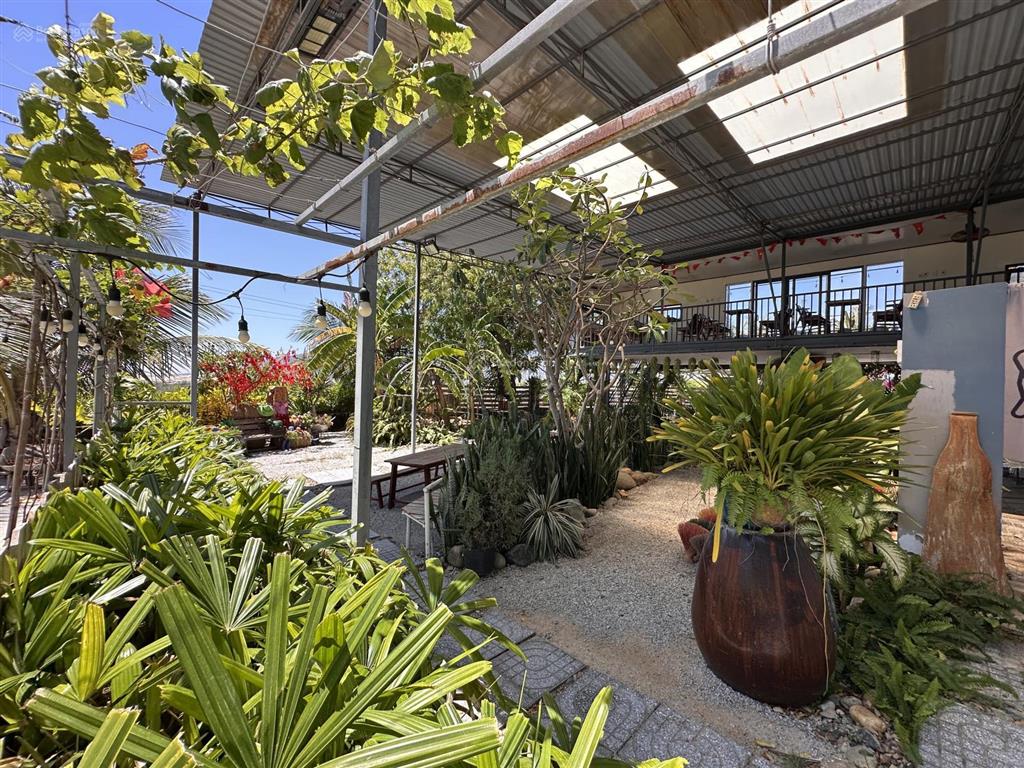 Sang nhượng quán cf sân vườn view biển mũi dinh  soha garden  750m2  9,9 tỷ