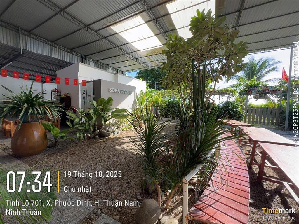 Sang nhượng quán cf sân vườn view biển mũi dinh  soha garden  750m2  9,9 tỷ