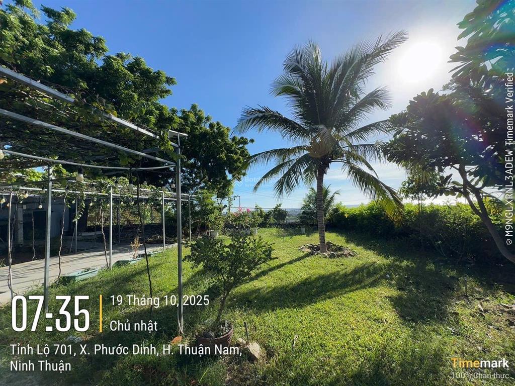 Sang nhượng quán cf sân vườn view biển mũi dinh  soha garden  750m2  9,9 tỷ