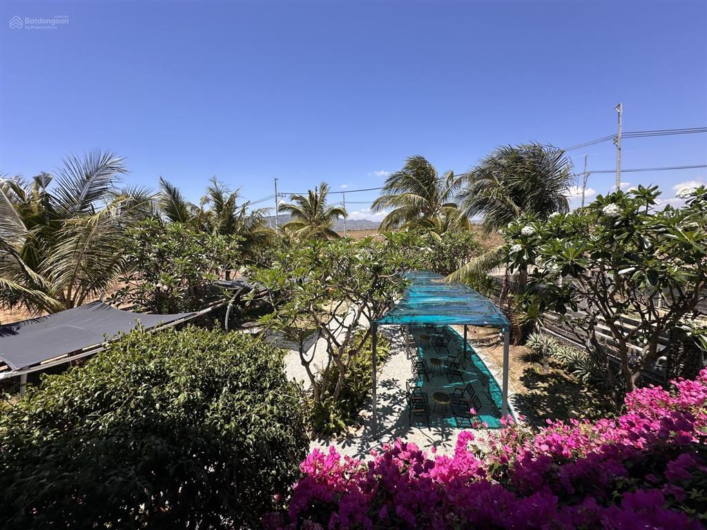 Sang nhượng quán cf sân vườn view biển mũi dinh  soha garden  750m2  9,9 tỷ