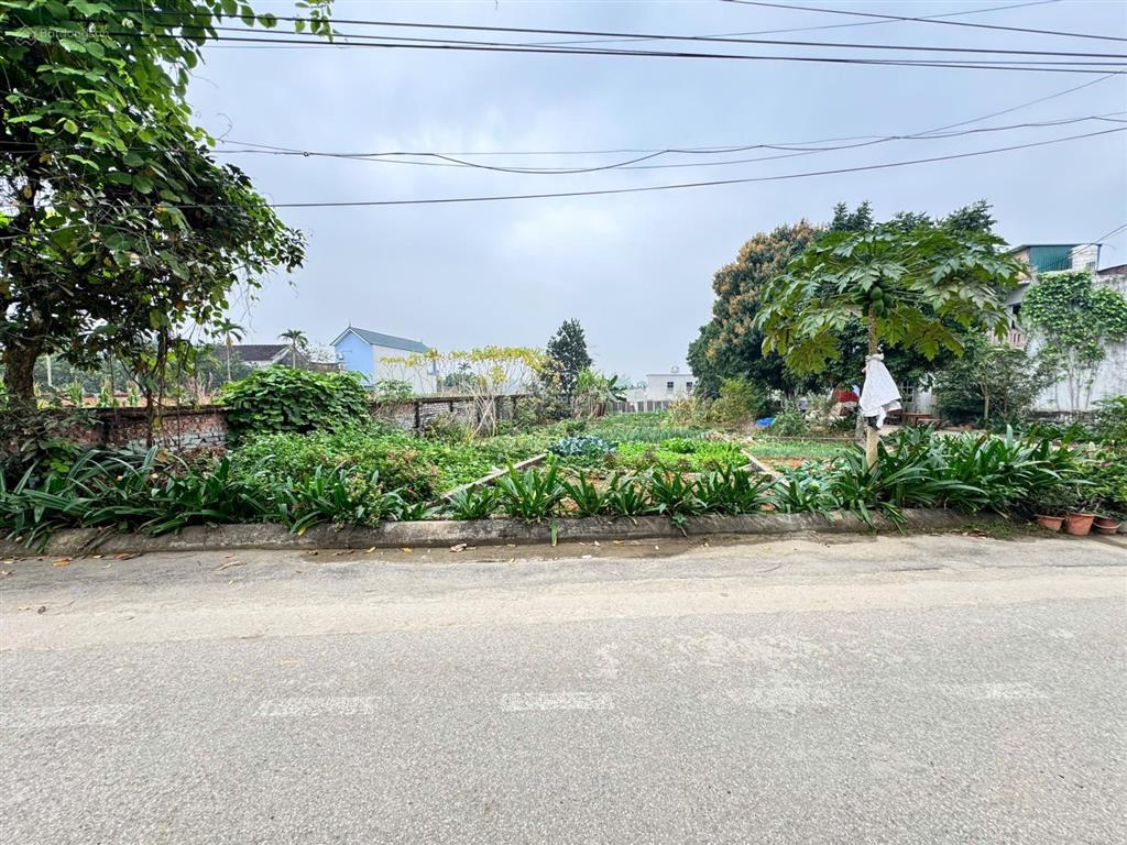61.6m2 trục chính thôn của đồng trúc giá chỉ 2,9 tỉ