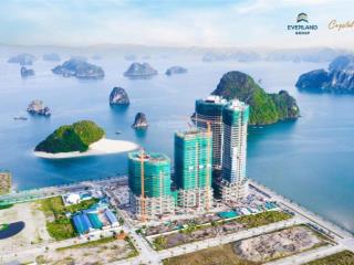 Chính chủ cần bán căn hộ studio toà d dự án crystal vân đồn