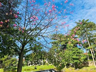 Bán trước tết căn biệt thự 258m2 khu c xanh villas | view thung sim  sân tập golf  chủ thiện chí