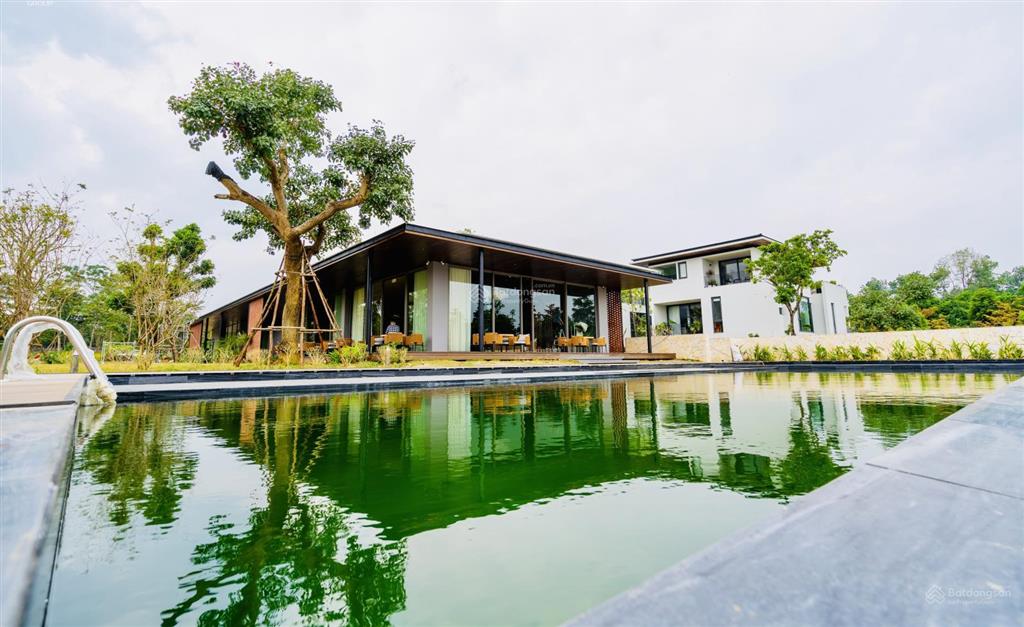 Bán chuyển nhượng căn biệt thự song lập tropical garden diện tích 239m2 | giá chỉ 8x tr/m2