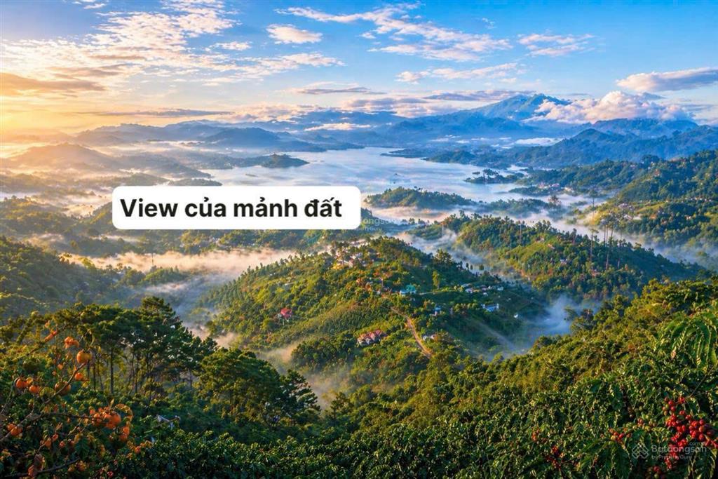 Chính chủ bán đất ở phường xuân trường đà lạt, sổ riêng chính chủ, vị trí siêu đẹp 3500m2