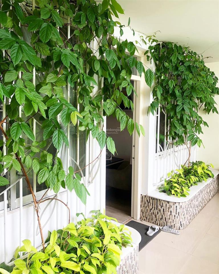 Bán cc tại 103 nguyễn đức cảnh, 6,5 tỷ, 77m2, view đẹp, chính chủ