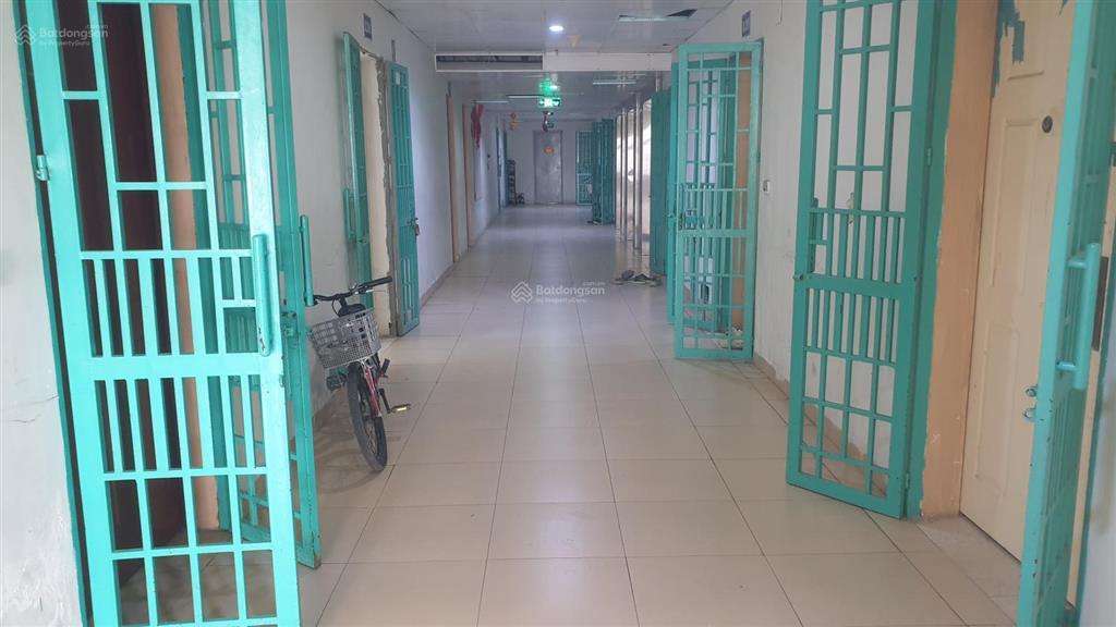 Cho thuê căn hộ 82m2 tầng trung tân việt