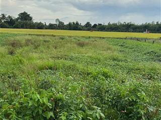 Đất thổ chính chủ bán nhanh trước tết