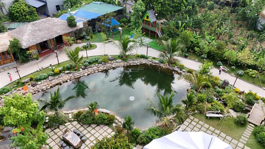 Hơn 1.000m2 có 489,2m2 đất odt thị trấn ba hàng đồi chỉ 8,2 triệu/m2 tặng nhà ở luôn