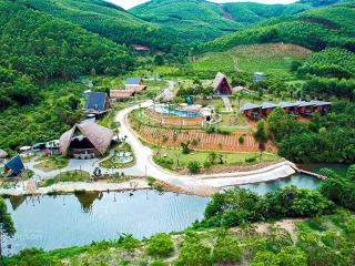 Hơn 1.000m2 có 489,2m2 đất odt thị trấn ba hàng đồi chỉ 8,2 triệu/m2 tặng nhà ở luôn