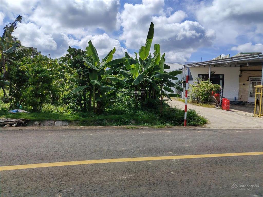 Bán lỗ gấp đất tại hẻm 88 lữ gia, 3,5 tỷ, 587m², có 100m² thổ cư, xã lộc châu, bảo lộc, lâm đồng