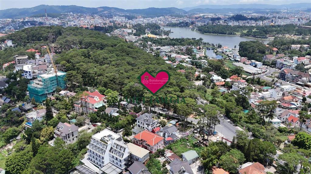 Bán đất mt lê văn tám phường xuân hương  đà lạt view thông vĩnh viễn
