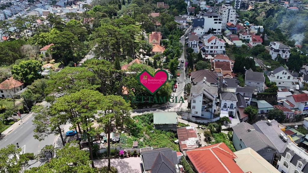 Bán đất mt lê văn tám phường xuân hương  đà lạt view thông vĩnh viễn