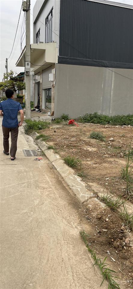 Bán rất gấp đất đấu giá đại đồng, thạch thất, lô sát góc, mặt tiền 8m