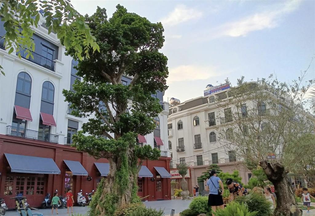 Ngộp bank cần bán căn sơn đồng center, hoài đức  hướng đông nam